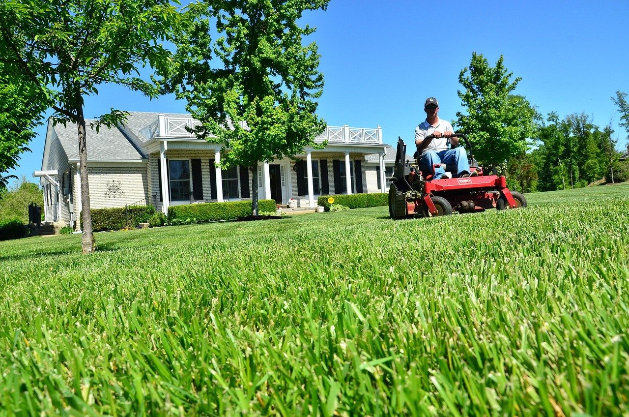 Freshly cut lawn with clean edges